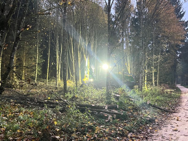 Harvester bei der Arbeit